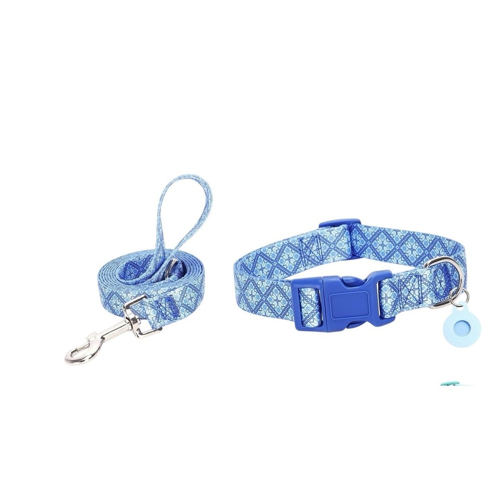 Moonpet Dog Collar with Leash Airtag Holder Case Set (size M) Blue